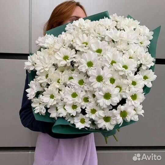 Букет из 15 кустовых хризантем