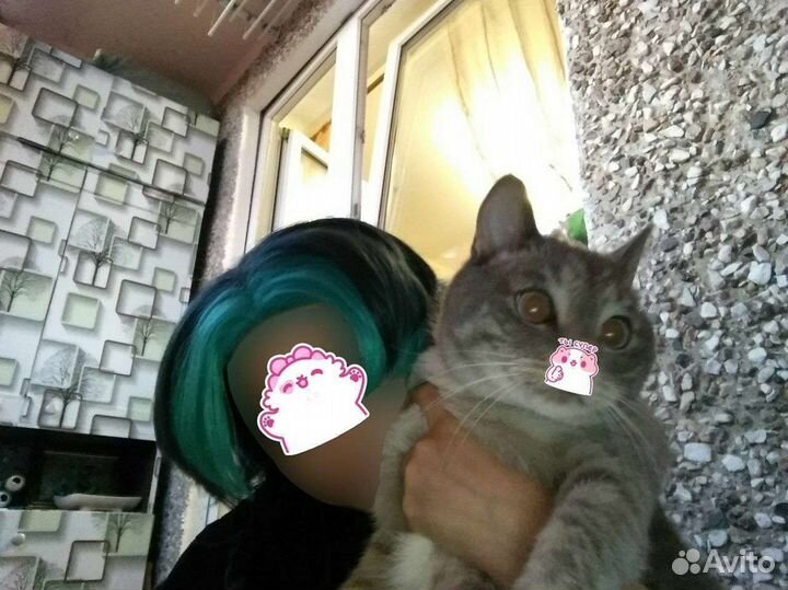 Парик сяо геншин