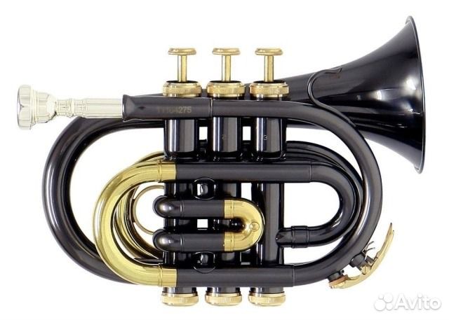 Труба Roy Benson рт-101 (Pocket) в ассортименте