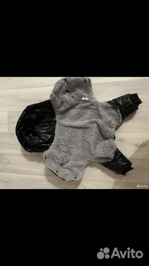 Комбинезон для небольшой собачки