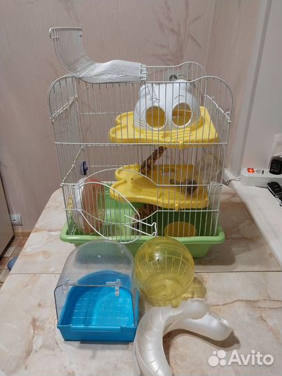 Клетка для джунгарского хомяка