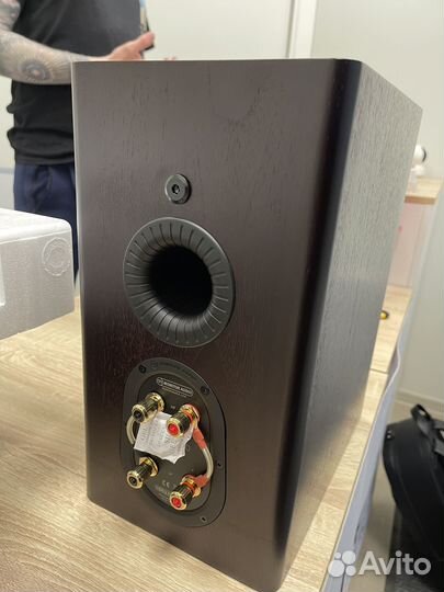 Полочная акустика Monitor Audio gold 100 (5G)