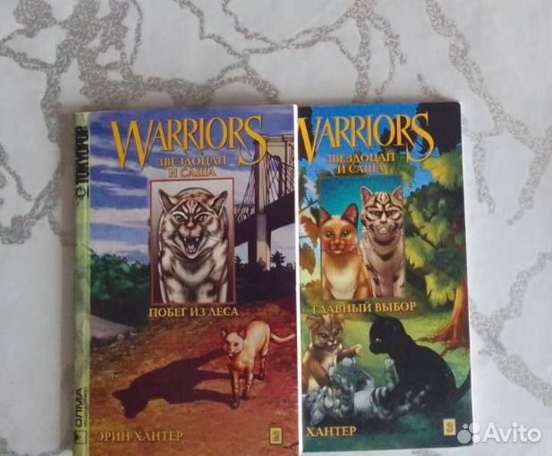 Коты воители манга Звездоцап и Саша