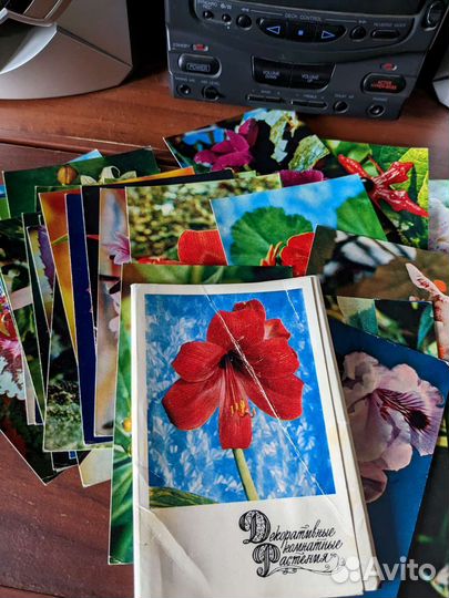 Открытки комнатные растения 30шт