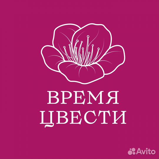 Бизнес ассистент