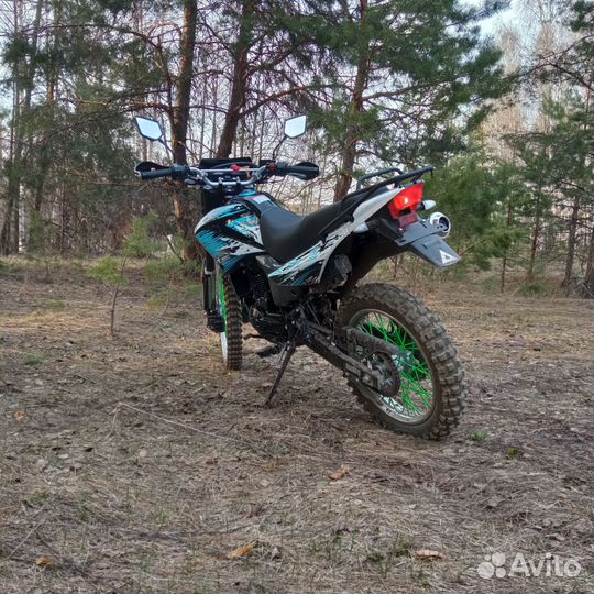Racer Panther 300
