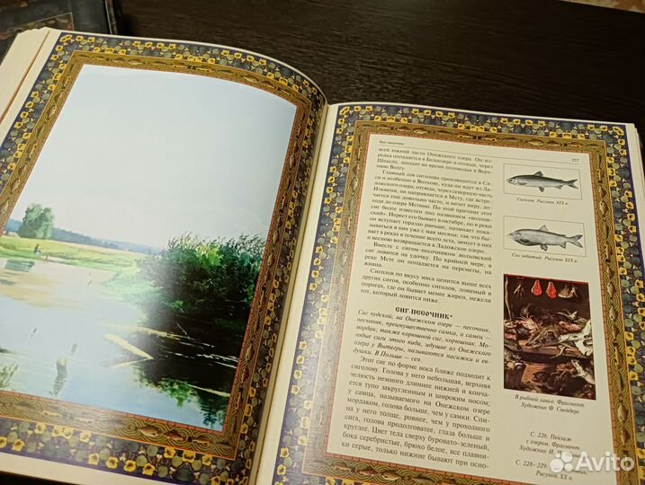 Книга 