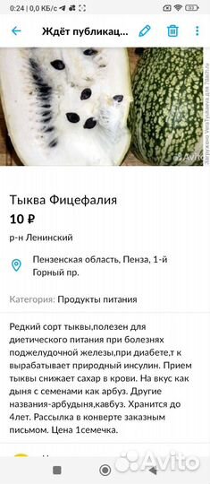 Тыква фицефалия