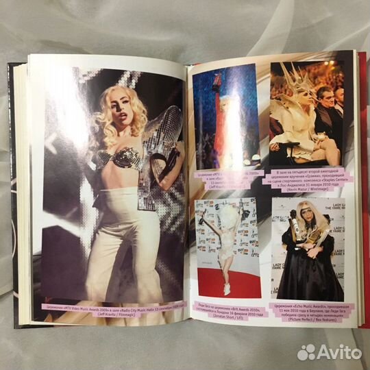 Книга Lady Gaga В погоне за славой, Пол Лестер