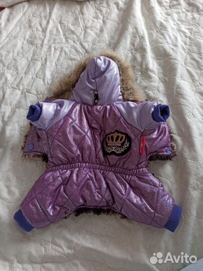 Одежда для маленьких собак xs