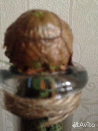 Декор для интерьера из природных материалов