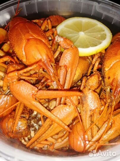 Живые и варёные раки 24/7