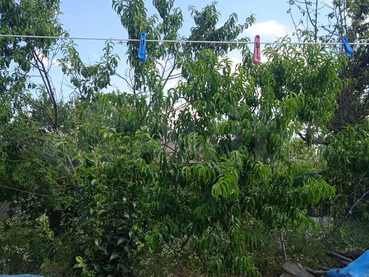 Дача 70 м² на участке 4,2 сот.