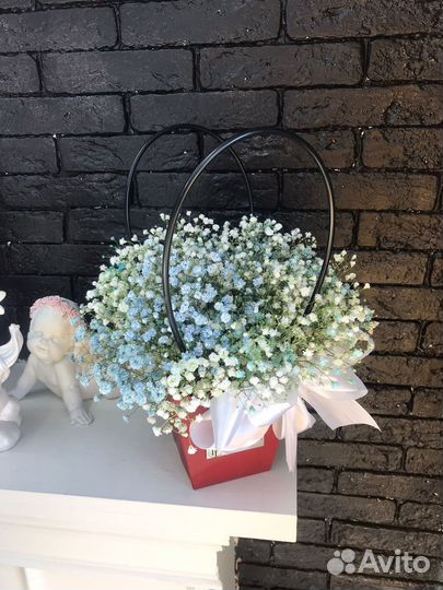 Гипсофила в коробке