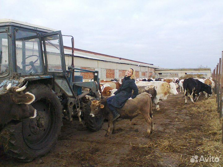 Зоотехник - консультант