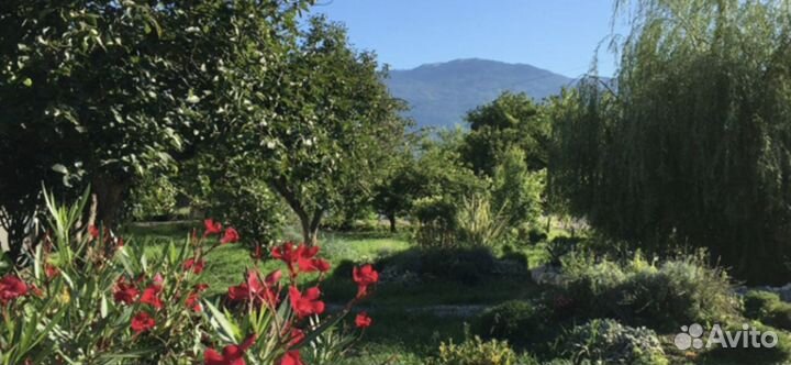 Гостиница Гагра