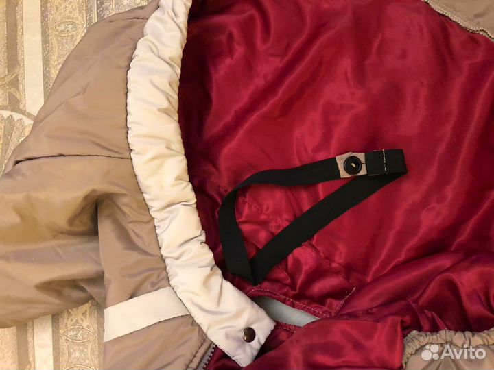 Комбинезон для собаки