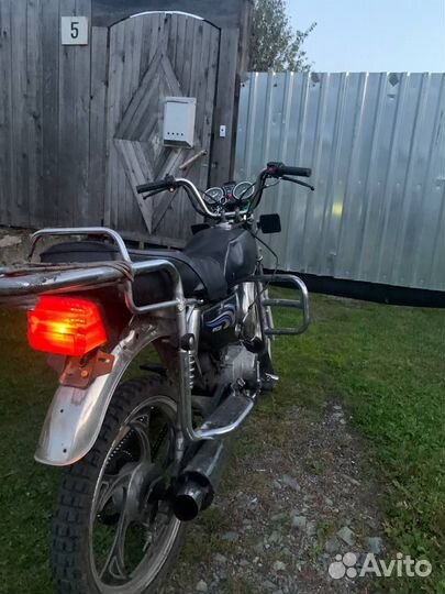 Ирбис Вигаро