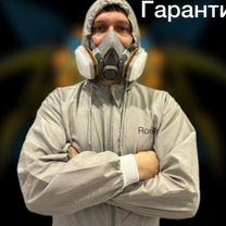 Дезинфекция.Уничтожение тараканов,клопов,грызунов