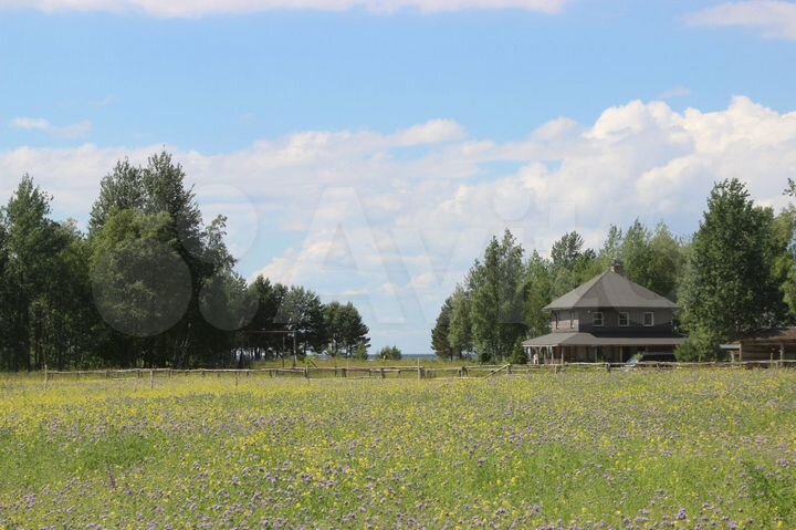 Участок 15 сот. (СНТ, ДНП)