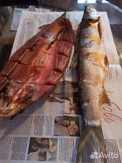 Балык жереха