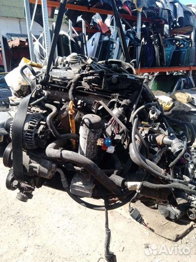 Двигатель Volkswagen Golf 4 (1997 - 2006) AXR