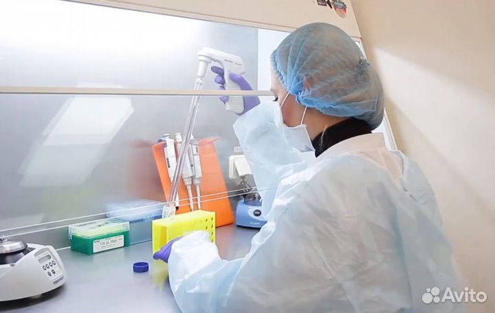 Уничтожение клопов тараканов крыс мышей