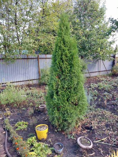 Дача 23 м² на участке 6 сот.