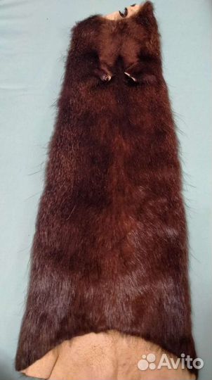 Шкурка нутрии