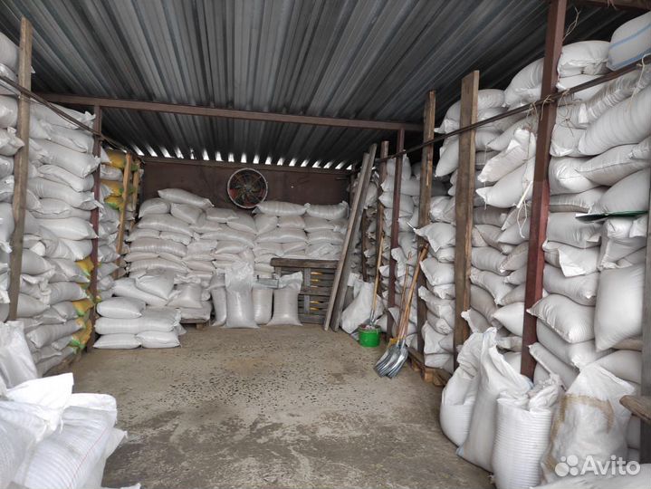 Семена газонной травы