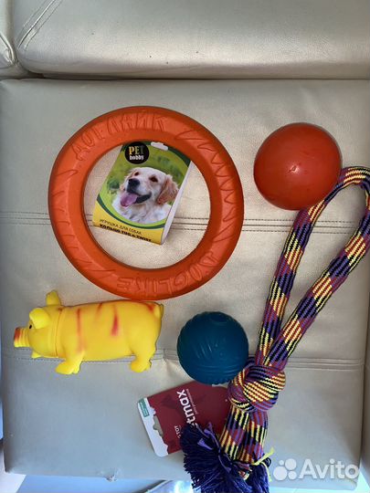 Все для больших собак