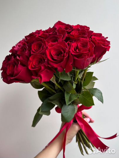 Роза Эквадор 40см, доставка цветов Калининград