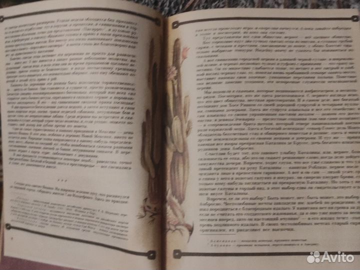 Книга Белый вождь Майн Рид