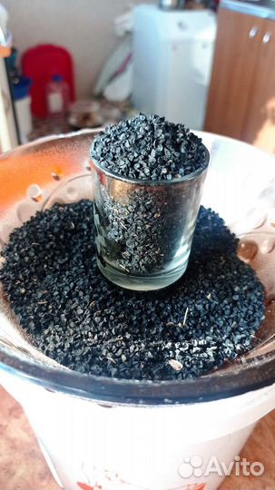 Семена лука чернушка