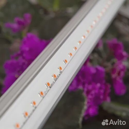 Фитолампа для растений (Новая)