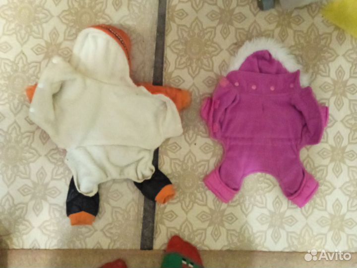 Одежда для маленьких собак