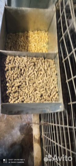 Бункерная кормушка для кроликов