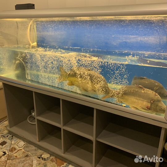 Аквариум