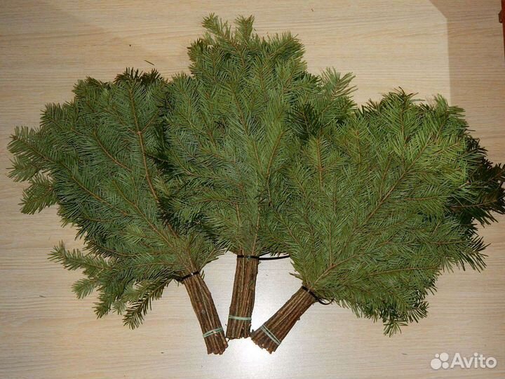 Пихтовые Берёзовые Дубовые веники