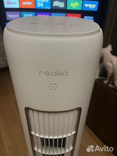 Вентилятор напольный с пультом