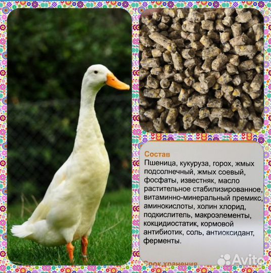 Старт Рост Финиш