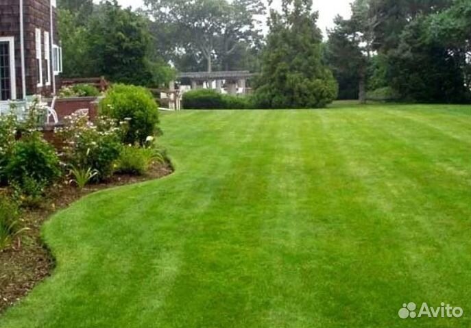 Рулонный газон (зеленый)