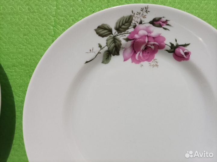 Тарелки Добруш