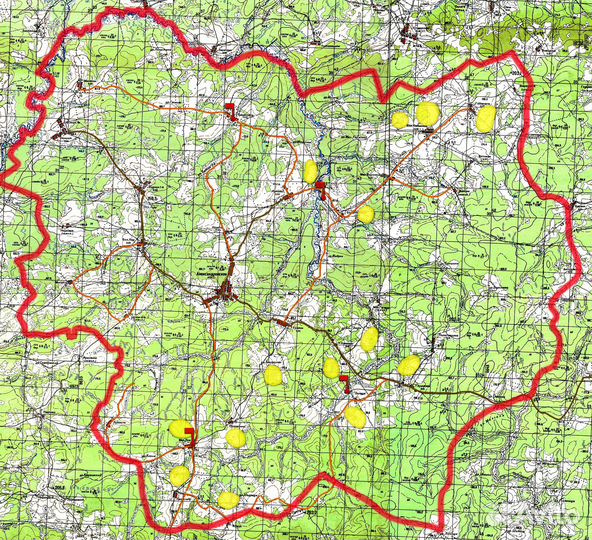 Услуги по организации рыбалки и охоты