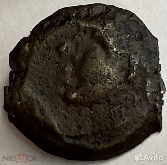 Античная монета. Боспорское царство