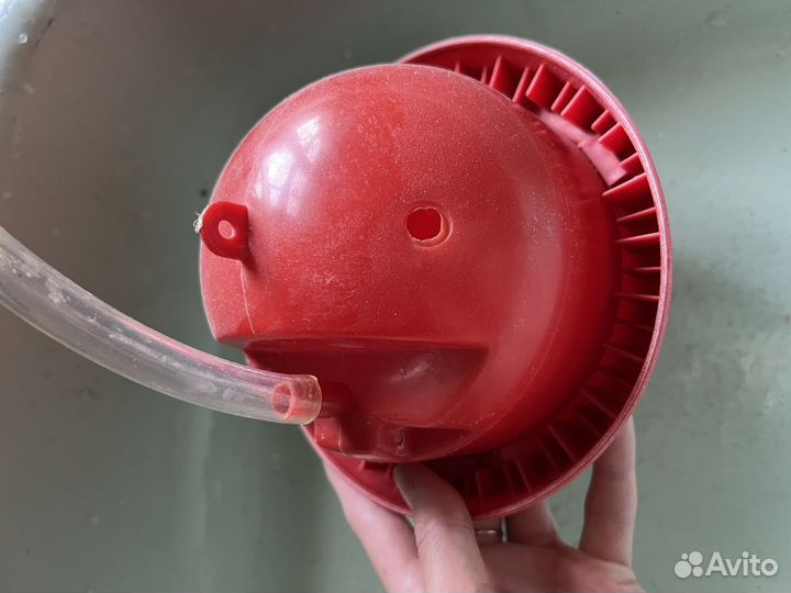 Поилка для суточных птенцов в брудер