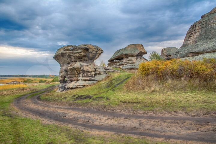 Участок 81,4 га (СНТ, ДНП)