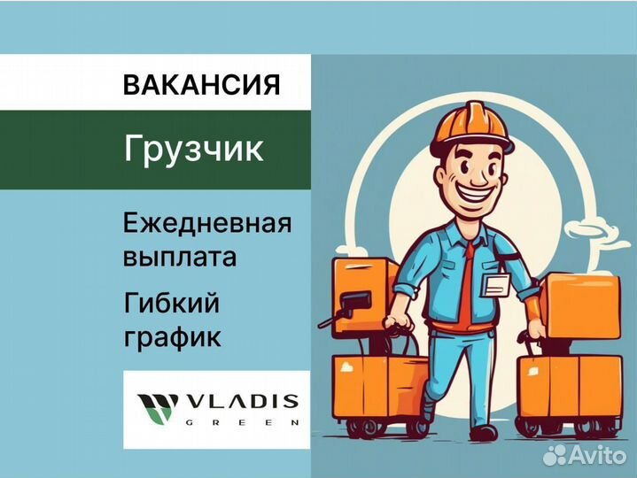 Грузчик ежедневная оплата