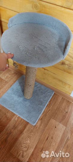 Когтеточка