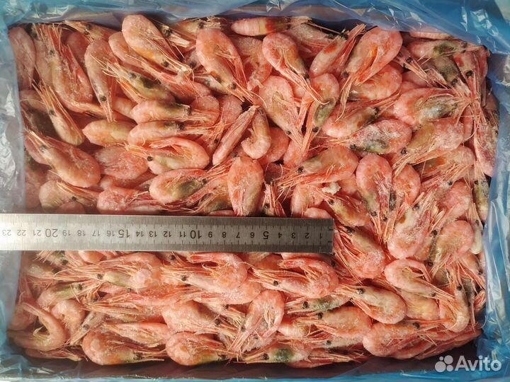 Креветки Мурманск 250+, 150 -180,лангустины L1